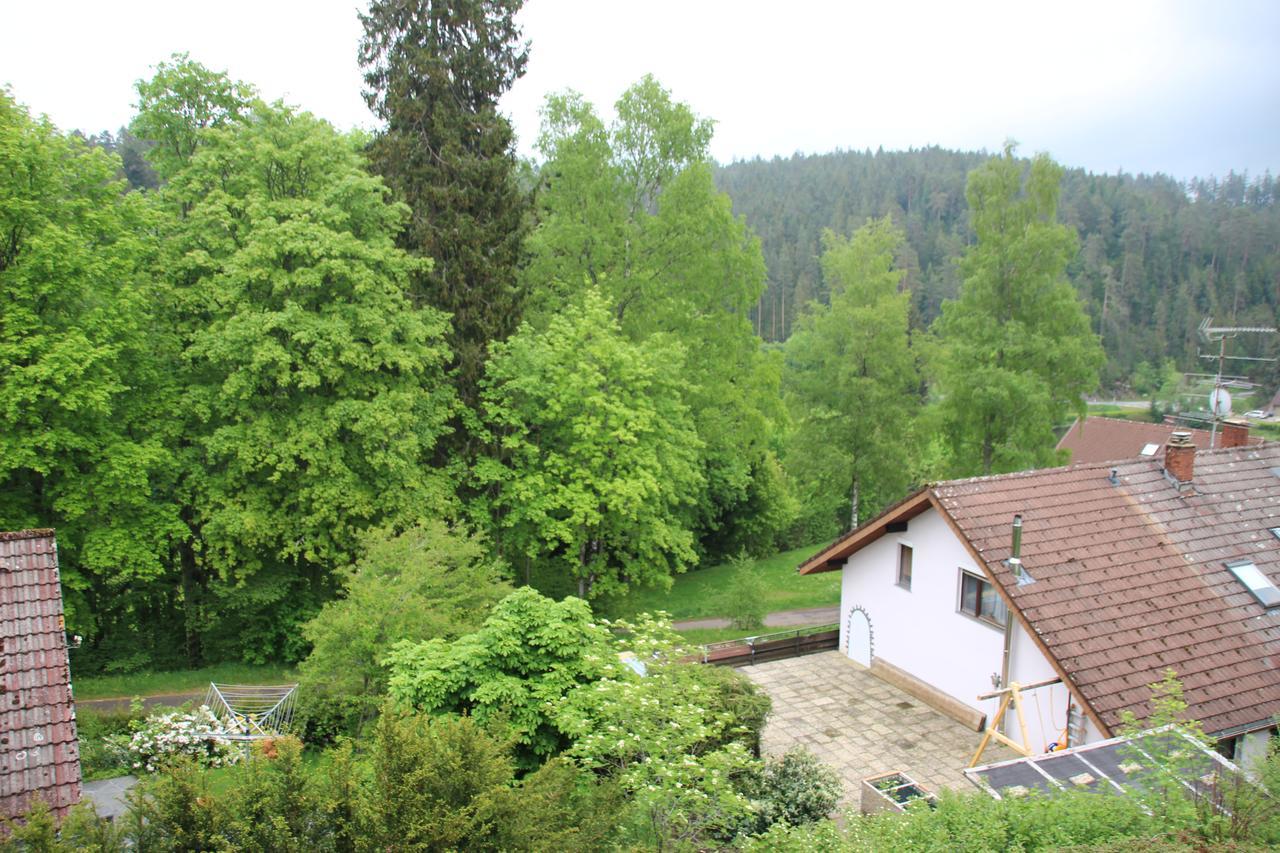 Kuckucksnester Friedenweiler Kültér fotó