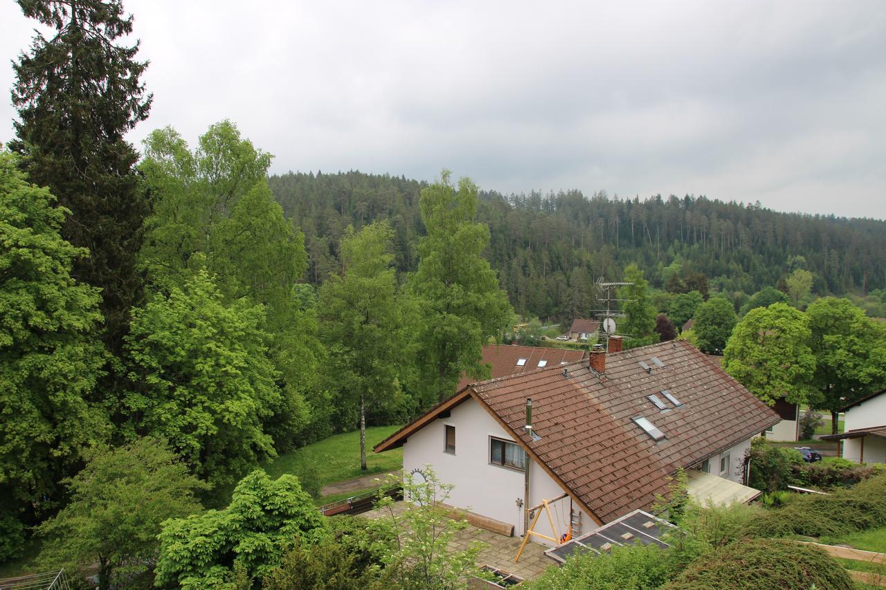 Kuckucksnester Friedenweiler Kültér fotó